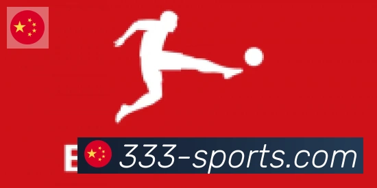 333体育合作伙伴